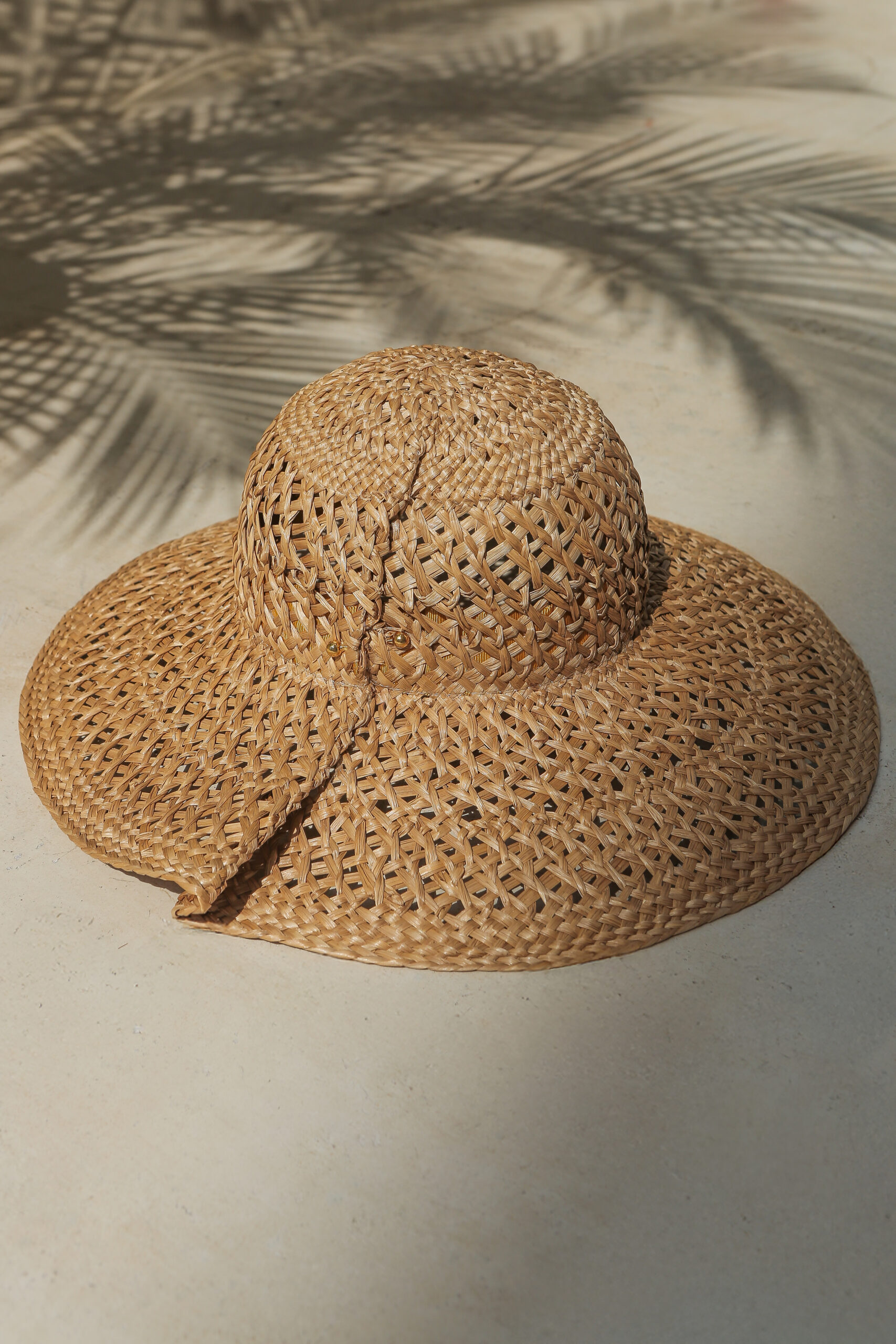 PaleBrasilis-Agosto25-0193 (2)