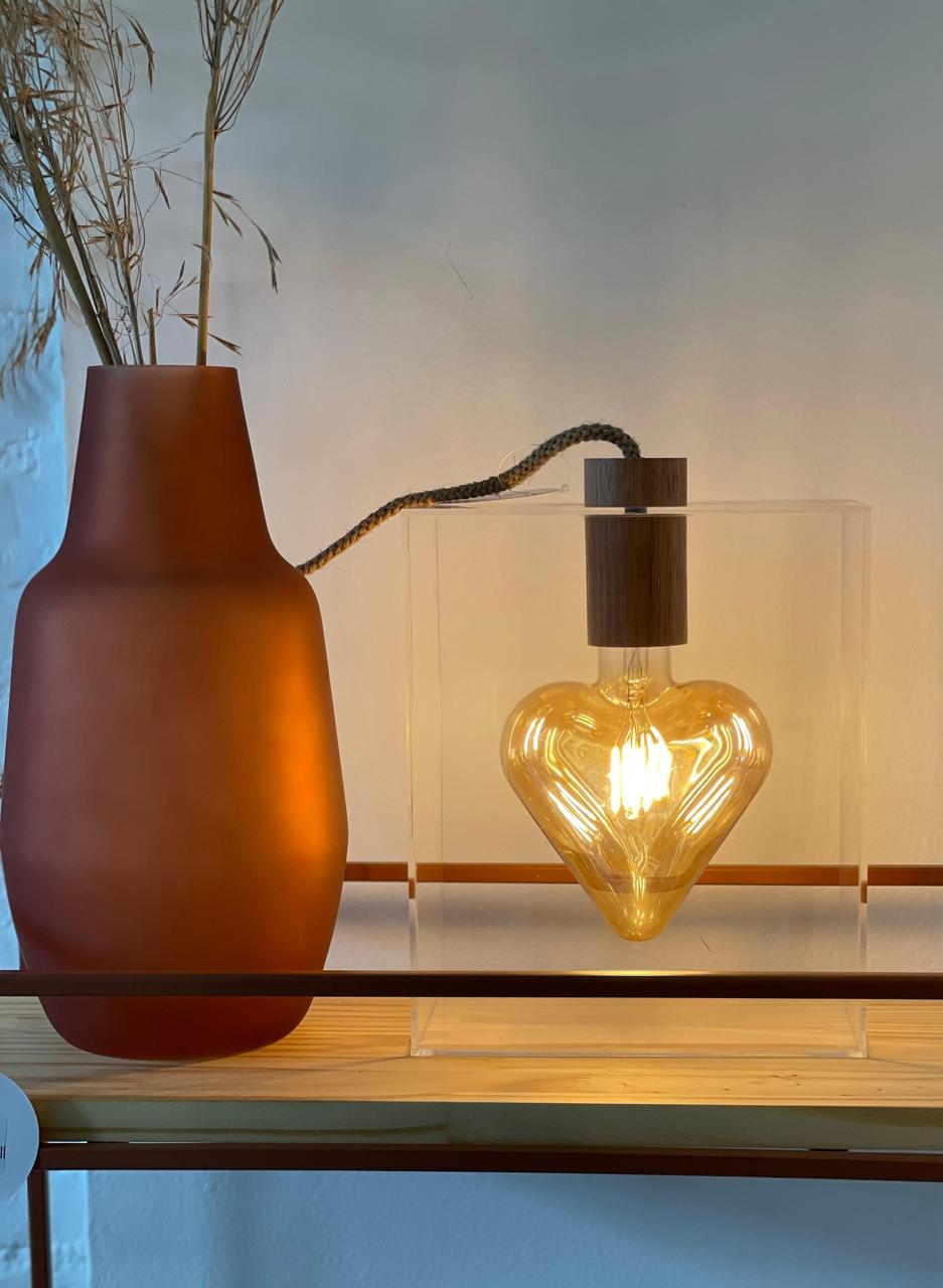 WhatsApp Image 2026-02-22 at 20.18.39 (1)